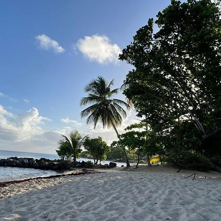 Villa Caraibes Sainte-Luce Eksteriør billede