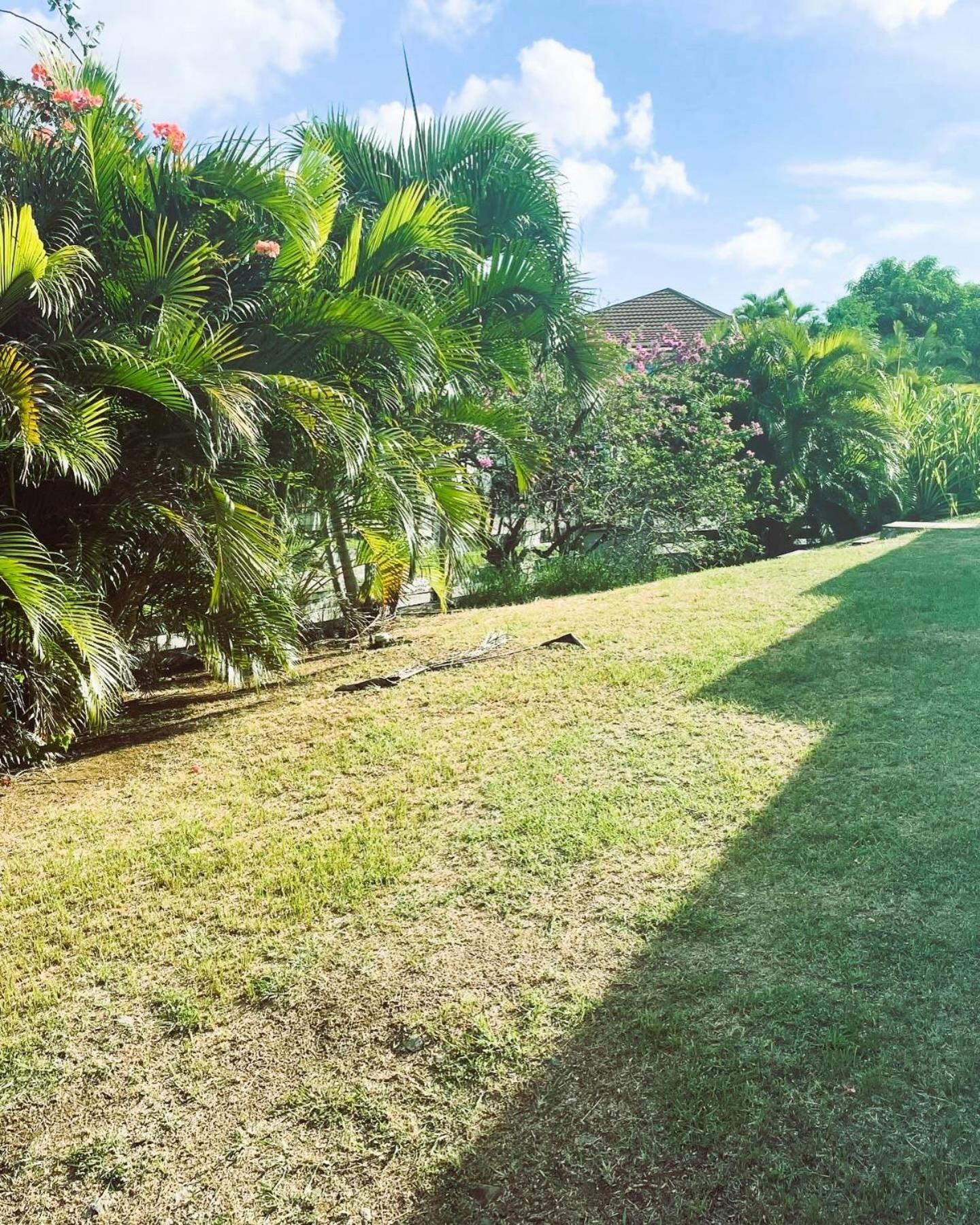 Villa Caraibes Sainte-Luce Eksteriør billede