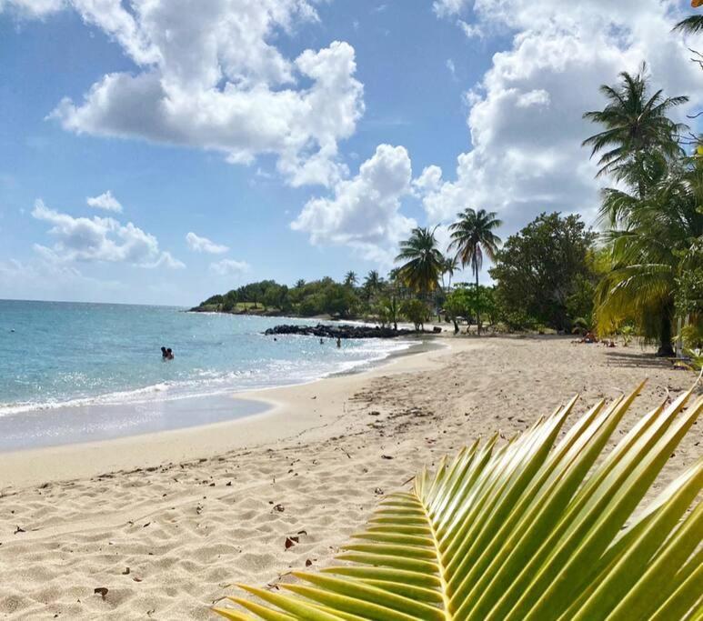 Villa Caraibes Sainte-Luce Eksteriør billede