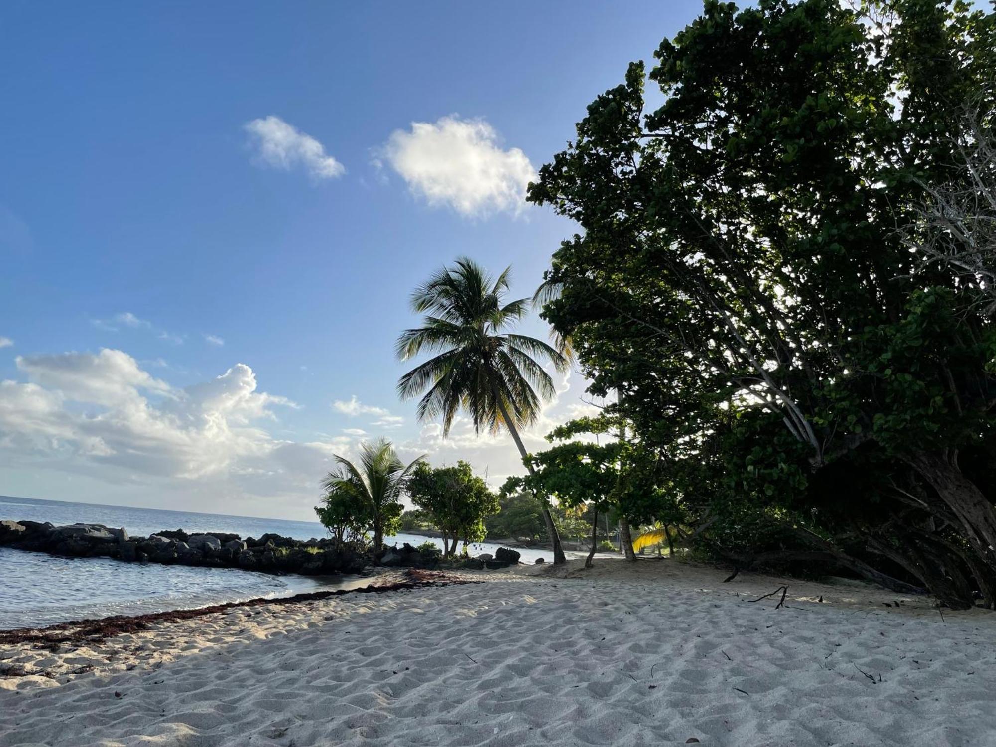 Villa Caraibes Sainte-Luce Eksteriør billede